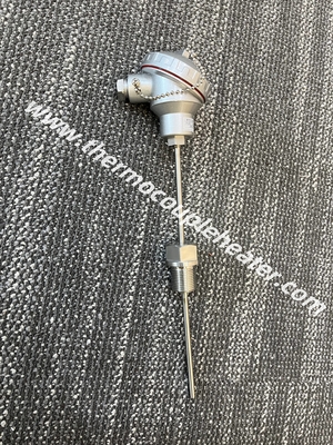 RTD Sensor Duplex PT100 Double Elements 6-wire Mineral Insulated Probe